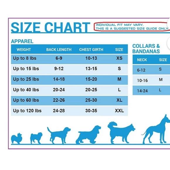 Pets First NHL Boston Bruins Mesh Jersey for Dogs and Cats, NWT, XL, $25 - Picture 5 of 5